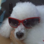 Junior